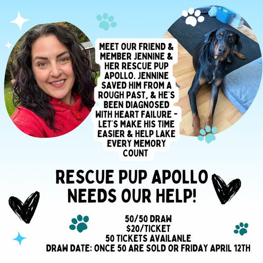 50/50 Fundraiser for Rescue Pup Apollo